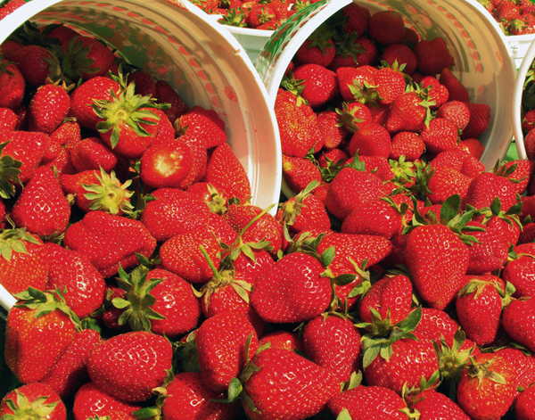 Fresh Strawberries