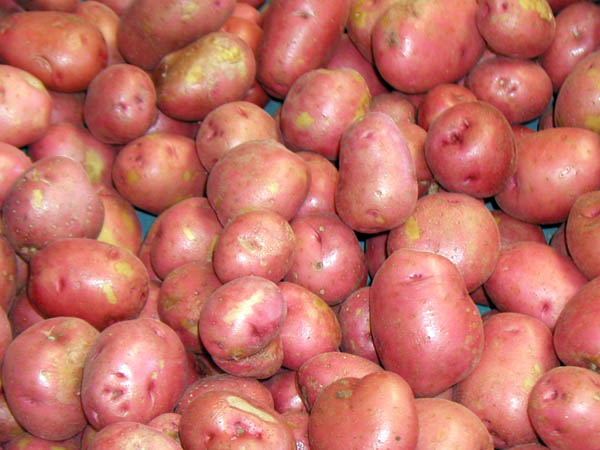 New Potatoes